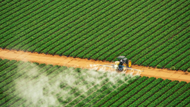 Best Termite Control Services  in Eatonville, FL